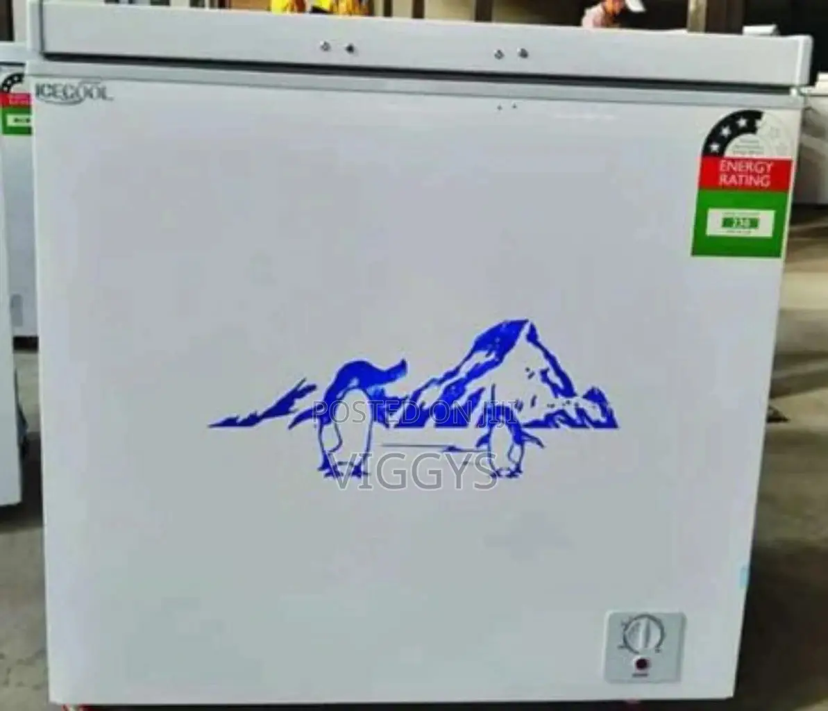 Ice Cool Freezer 269
