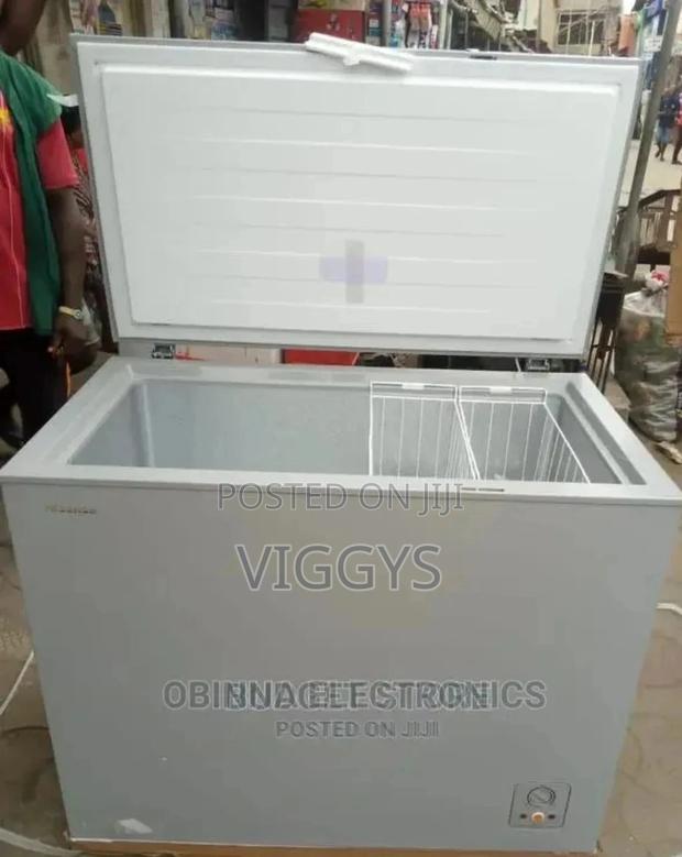 Hisence Deep Freezer 260 - main view