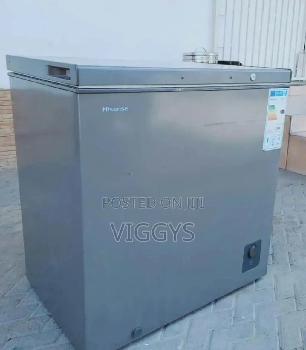 Hisence Deep Freezer 201