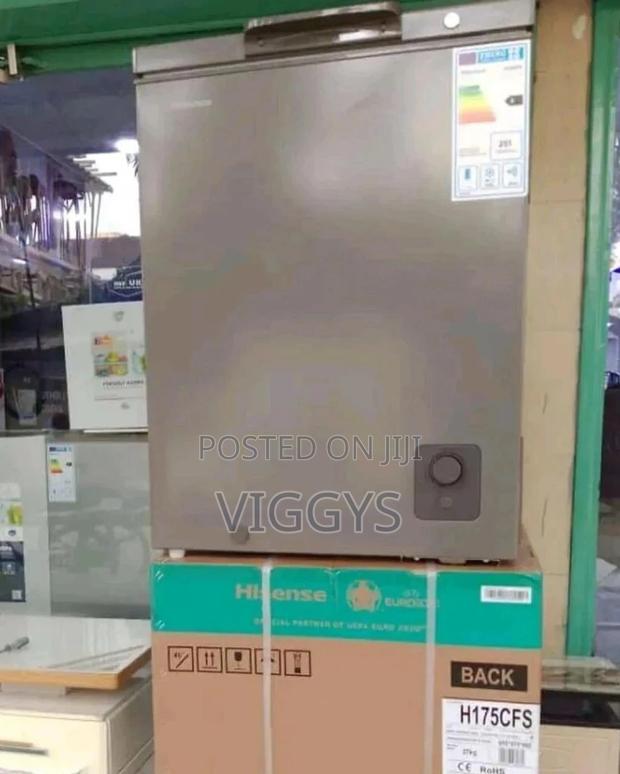 Hisence Deep Freezer 301