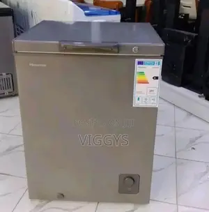 Hisence 301 Deep Freezer