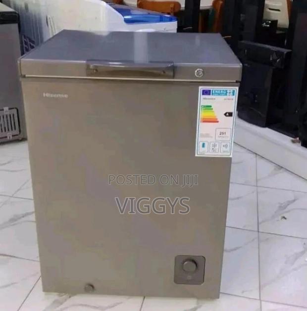 Hisence 301 Deep Freezer