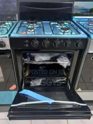 Standing Cooker Hisence