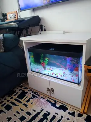 Medium Aquarium 2ft Length