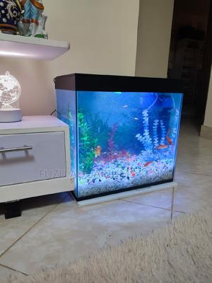 Kids Aquariums Fully Accessorized - thumbnail 2
