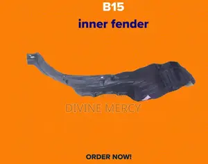 B15 Inner Fender/Stone Guard