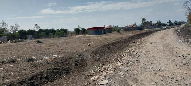 Plot for Long Term Lease - main view