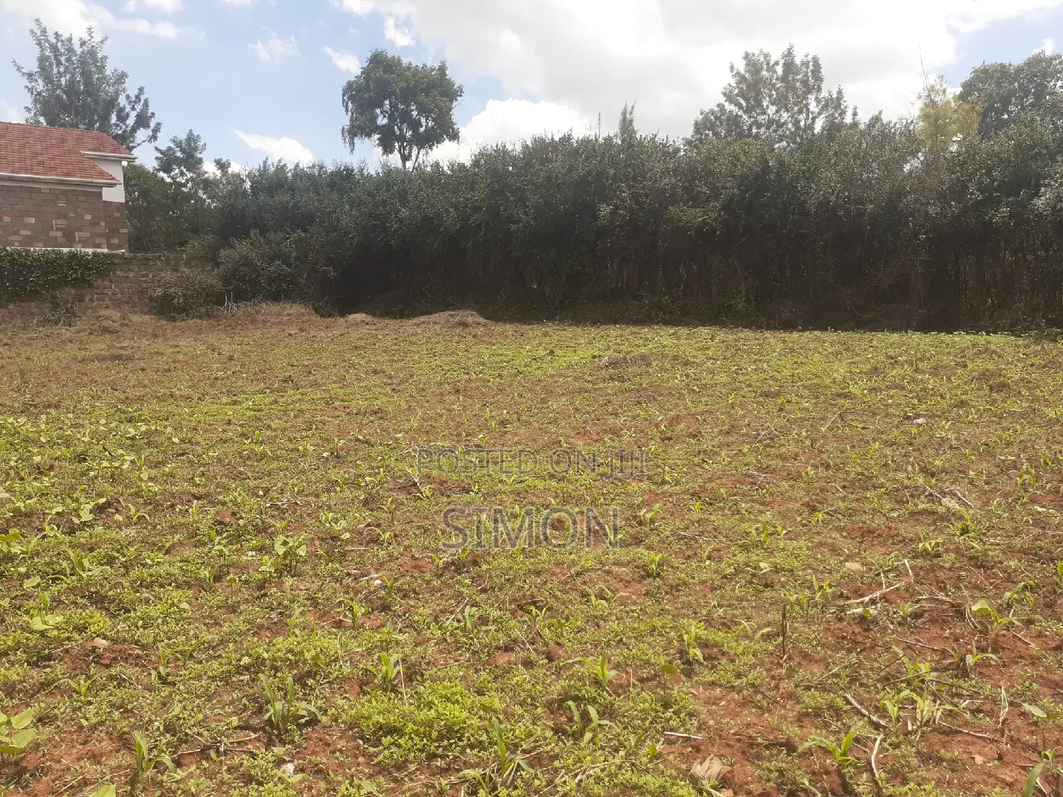 Kahawa Sukari Nyahururu Rd Prime Red Soil 1/4 Ac Corner Plot in Kahawa