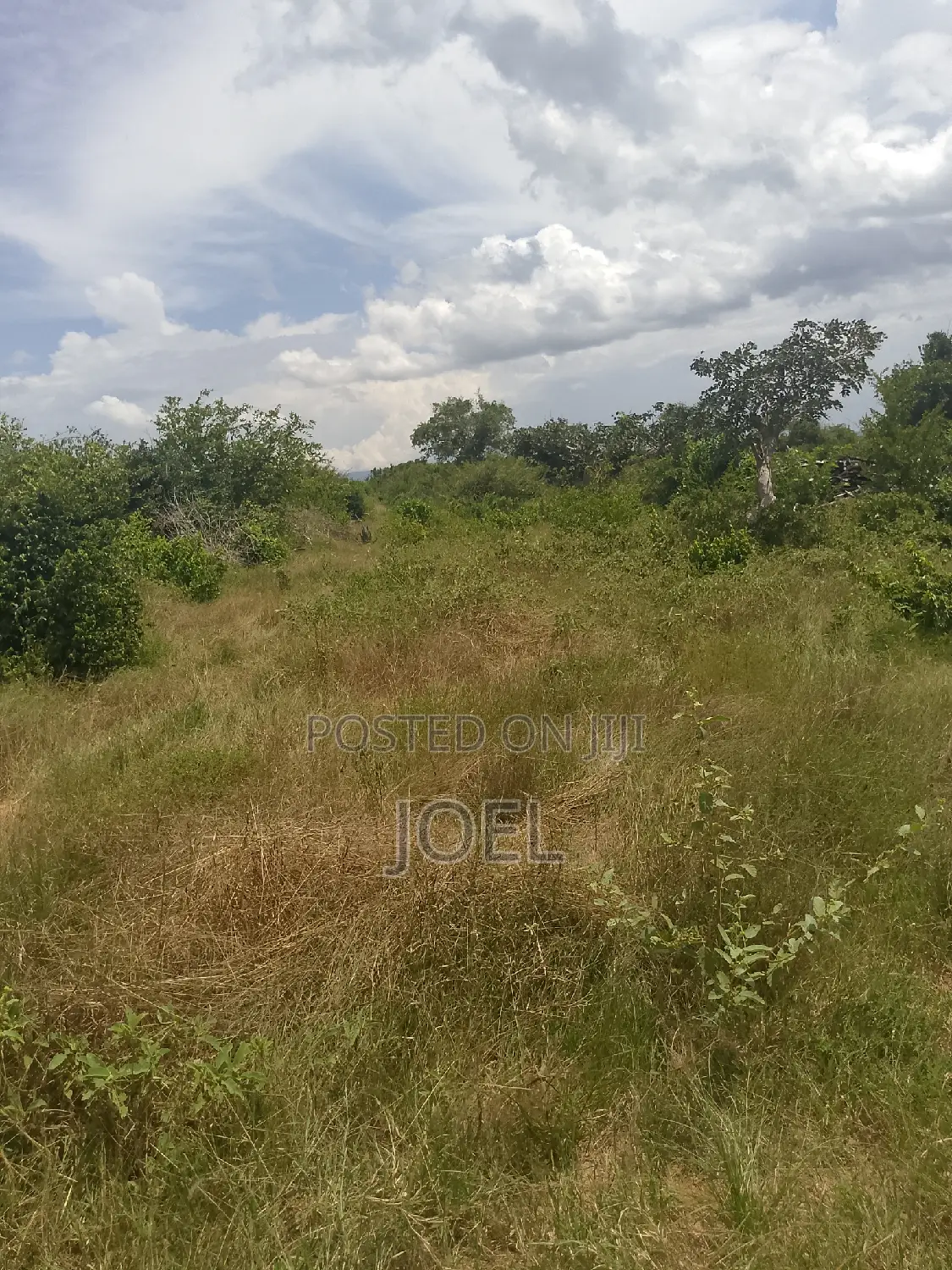 Malindi 30 Acre Land Ready Title Deed