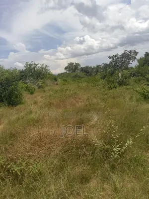 Malindi 30 Acre Land Ready Title Deed