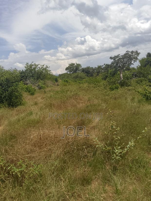 Malindi 30 Acre Land Ready Title Deed - thumbnail 3