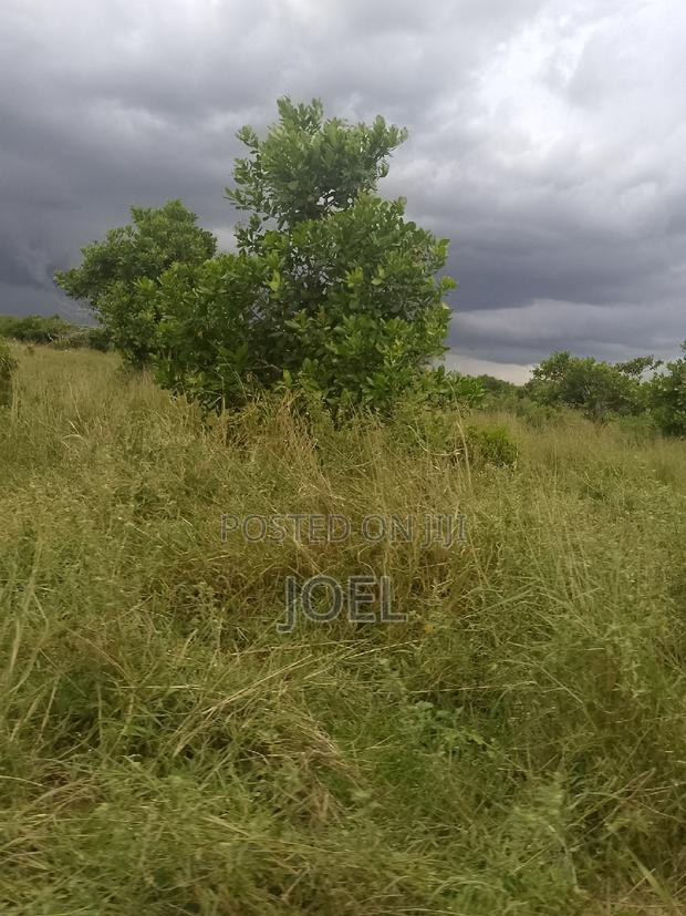 Malindi 18 Acres Land With Ready Title Deed - thumbnail 2