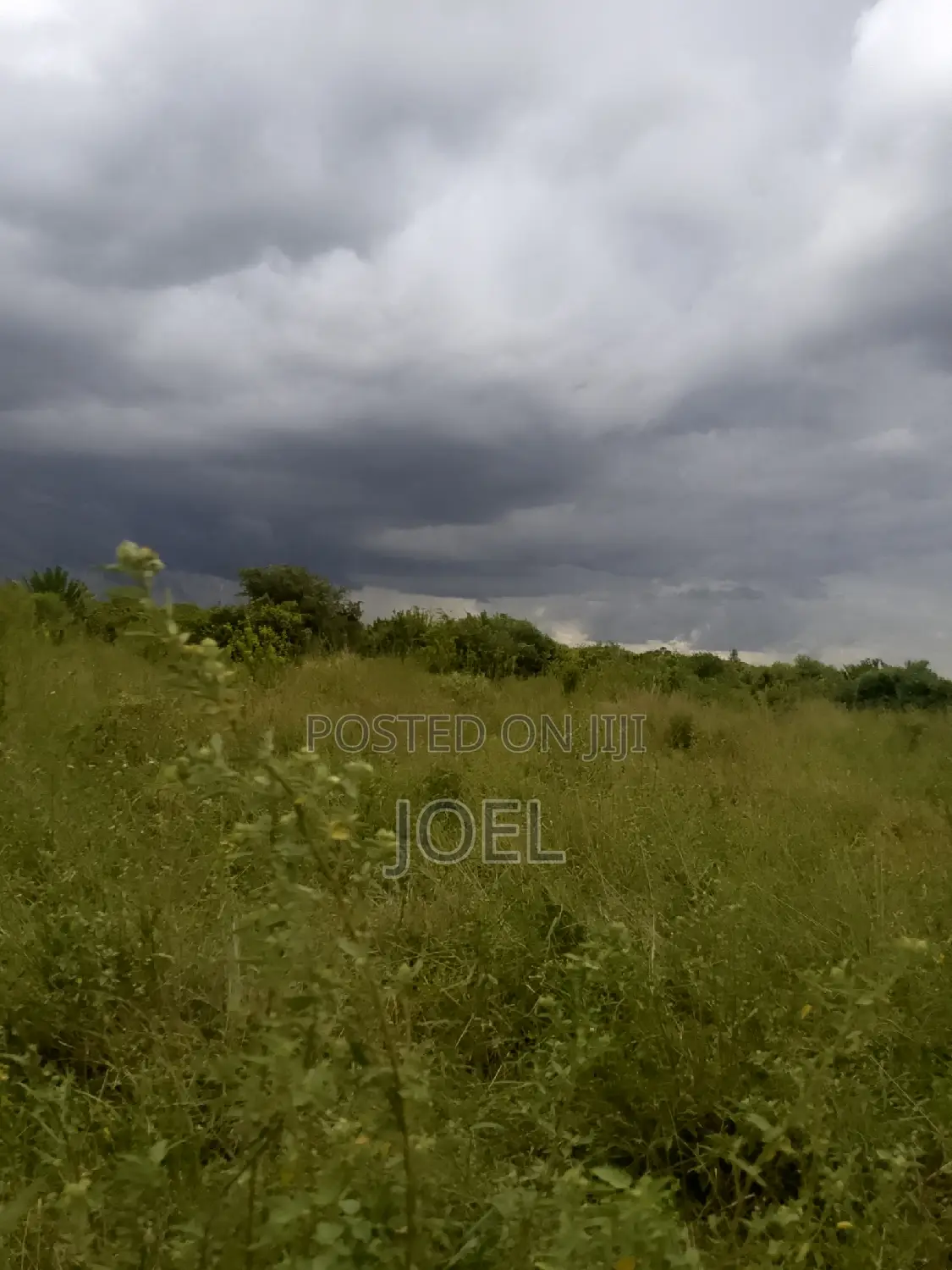 Malindi 55 Acres Land On Sale