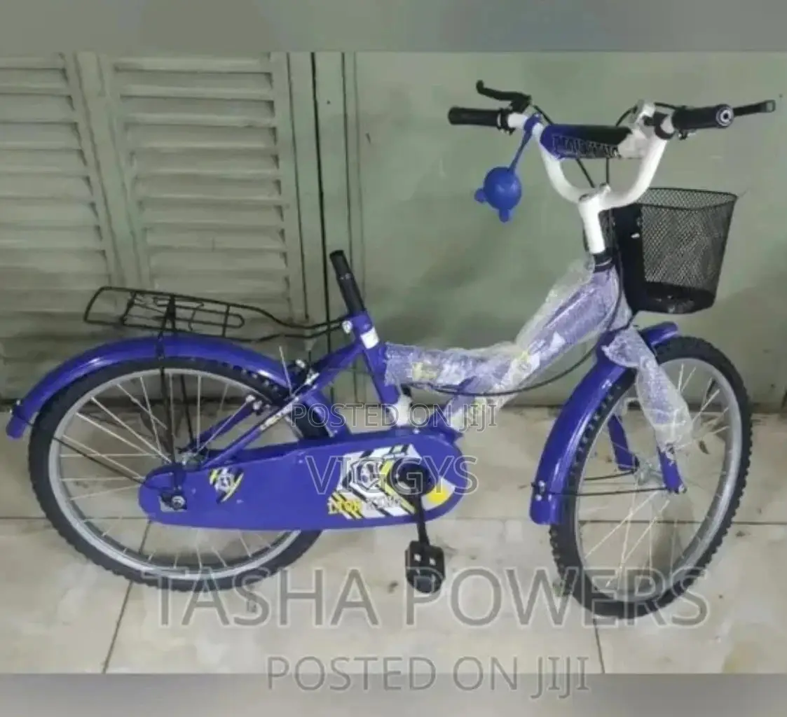 Lion King 20 Bicycle