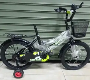 King Lion 20 Bicycle