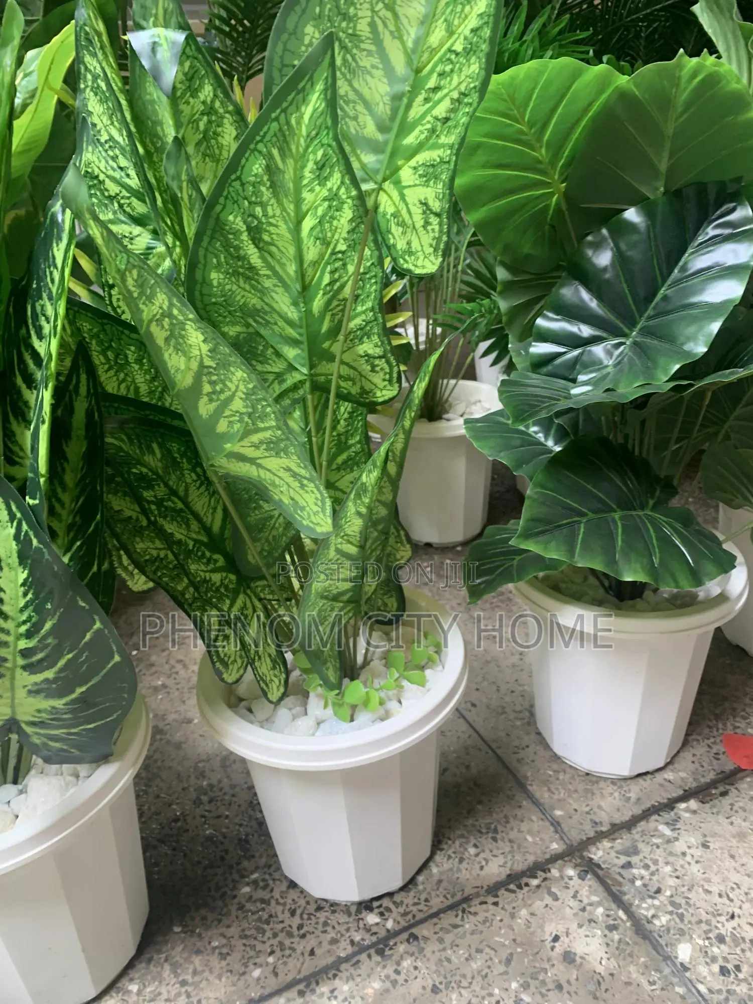 Artificial Plants Available