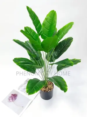 Artificial Plants Available