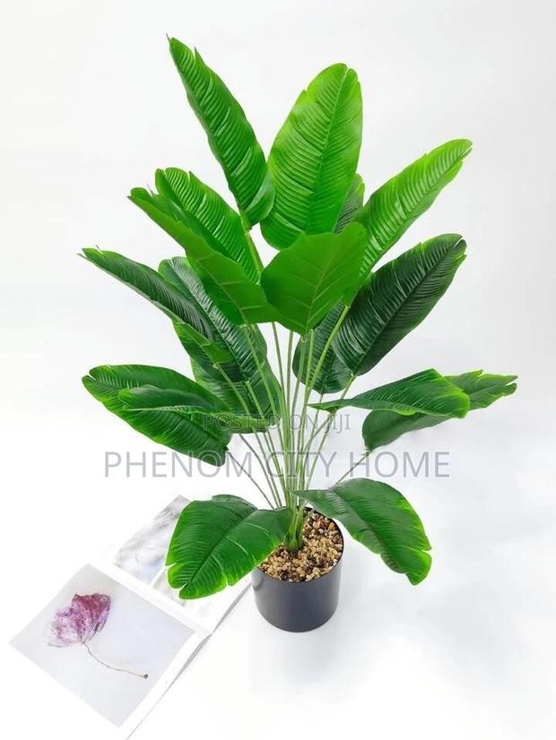Artificial Plants Available - thumbnail 2