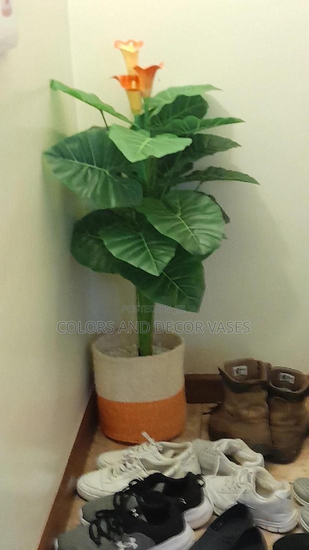 Orange Flowered Plant and Basket KSH 4000