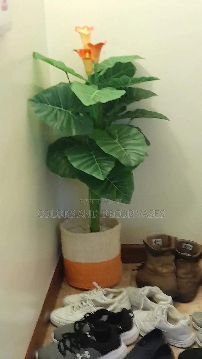 Orange Flowered Plant and Basket KSH 4000