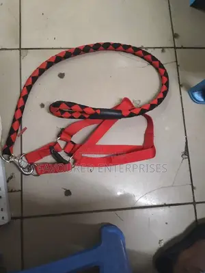 High Quality Nylon Dog Harness and Leash Double Layer