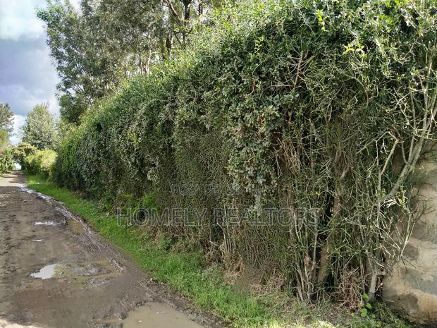 Quarter Acre in Kandisi Few Meters From Rimpa Road Tarmac - thumbnail 5