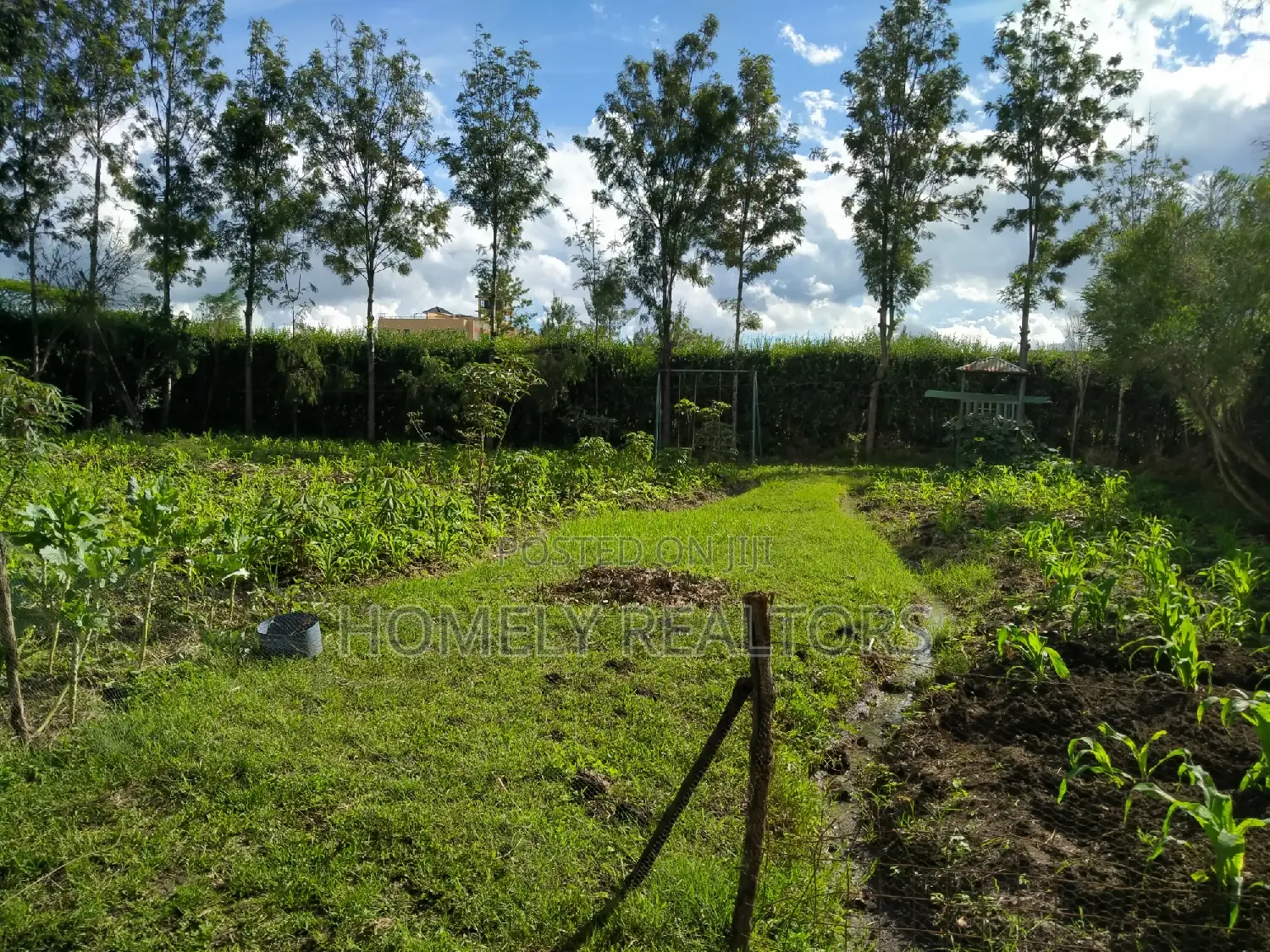 Quarter Acre in Kandisi Few Meters From Rimpa Road Tarmac