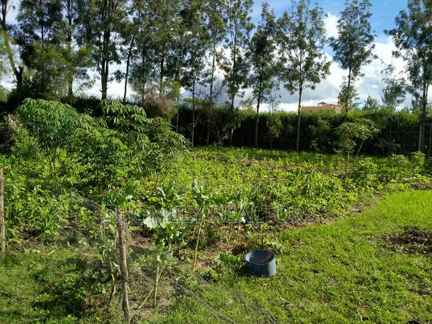 Quarter Acre in Kandisi Few Meters From Rimpa Road Tarmac - thumbnail 2