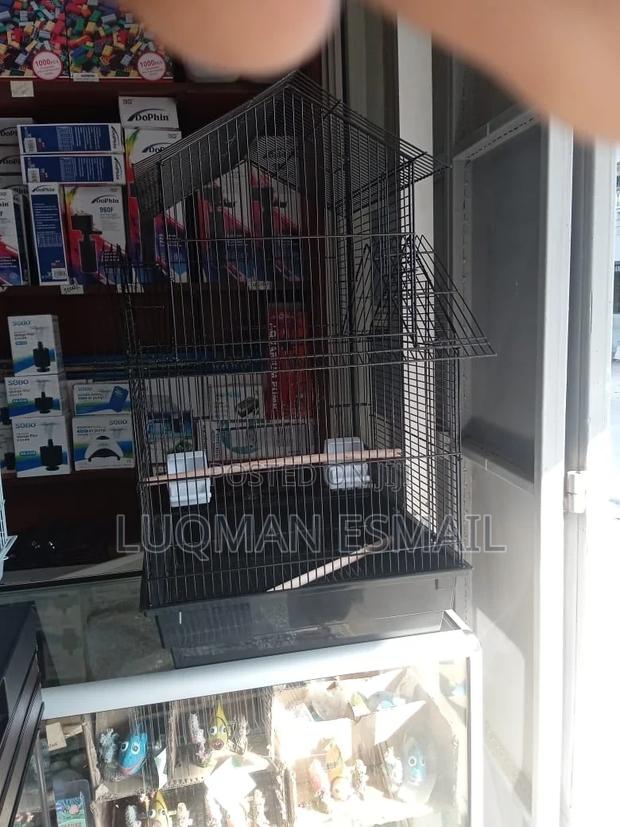 Budgies Cage - main view