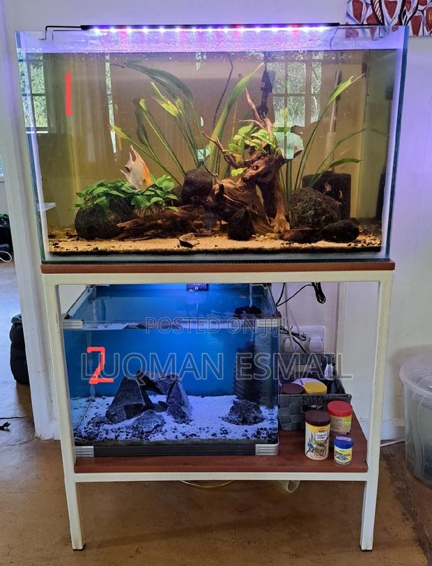 Fresh Water Aquariums - main view