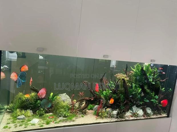 Large Expensive Aquariums - thumbnail 4