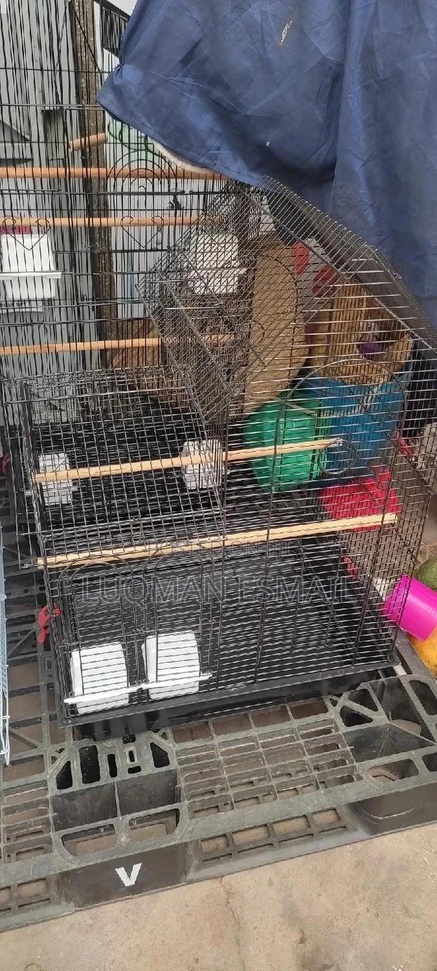 Cages for Birds - main view