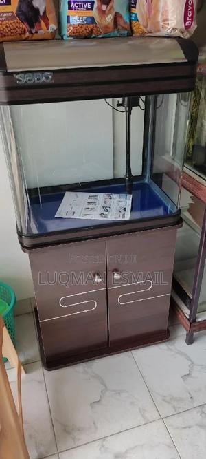 Imported Aquariums - thumbnail 2