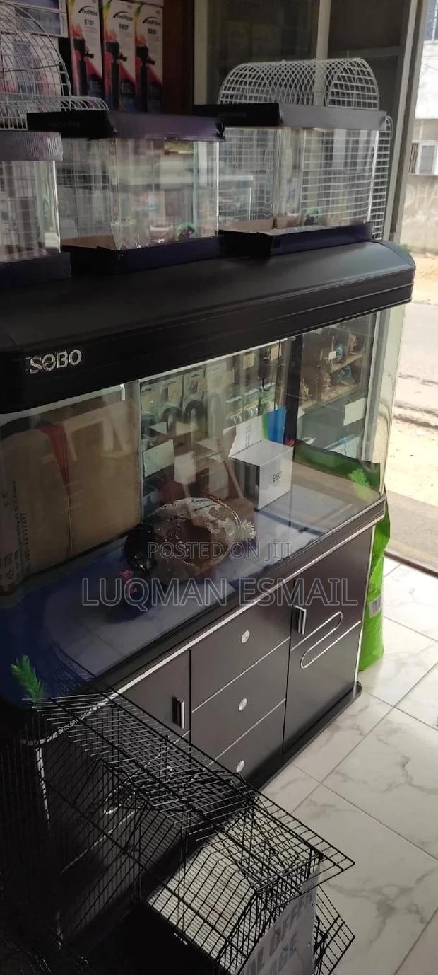 3 Feet Imported Aquarium - main view