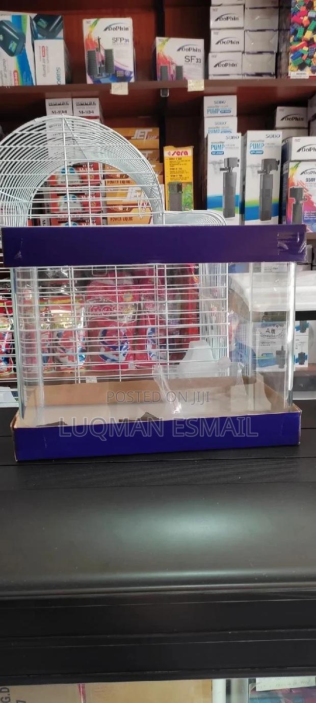 Different Sizes of Important Aquariums - thumbnail 3