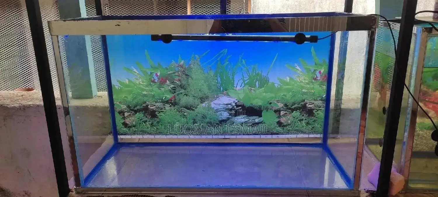 Aquarium Locally Assembled