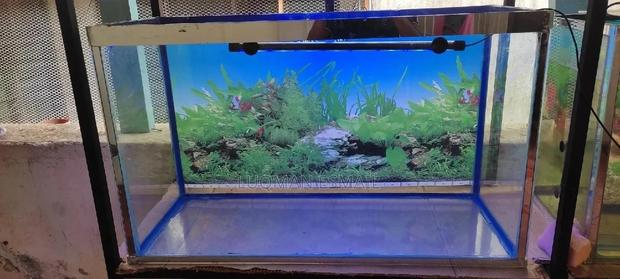 Aquarium Locally Assembled - thumbnail 3