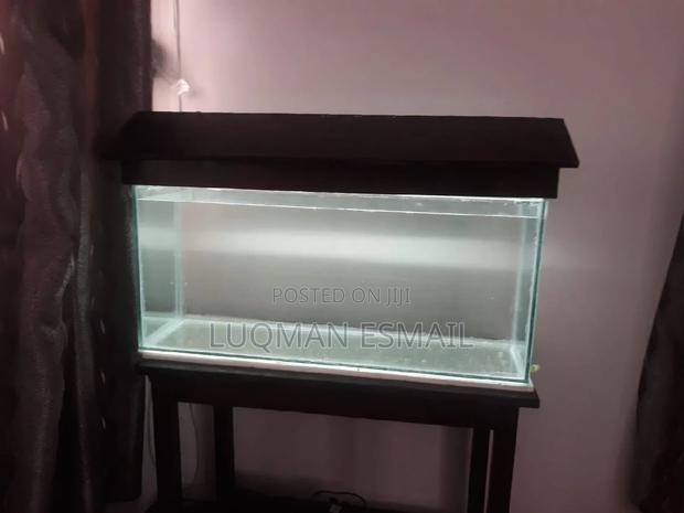 Simple Aquarium - main view