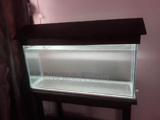 Simple Aquarium - thumbnail 3