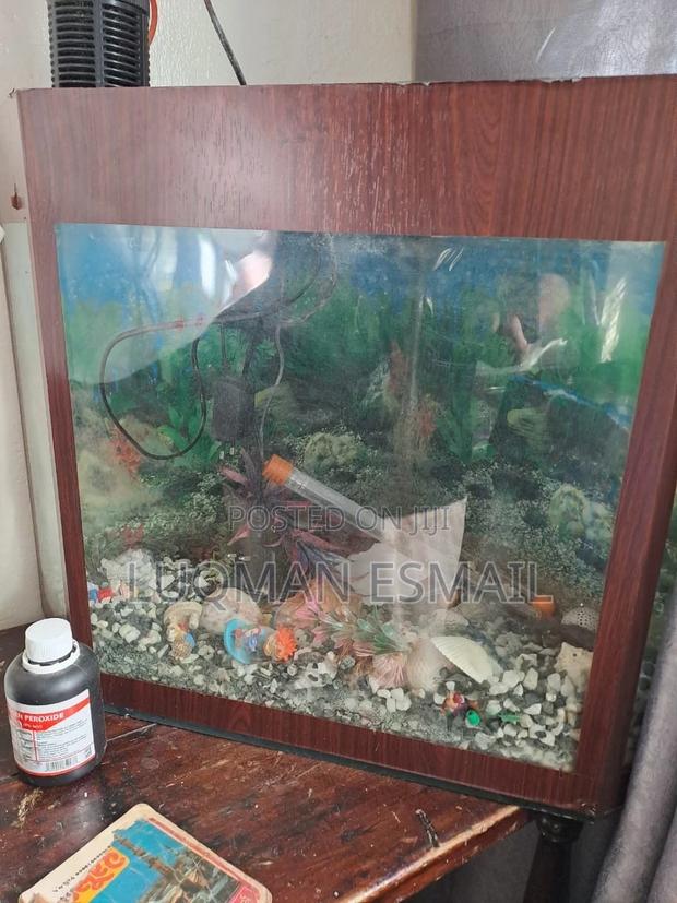 Small Aquarium - main view