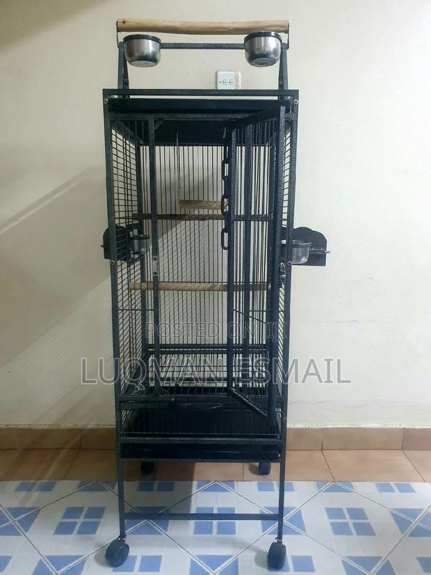 African Grey Parrot Cage - main view