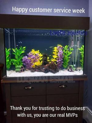 Customised Aquarium - thumbnail 2