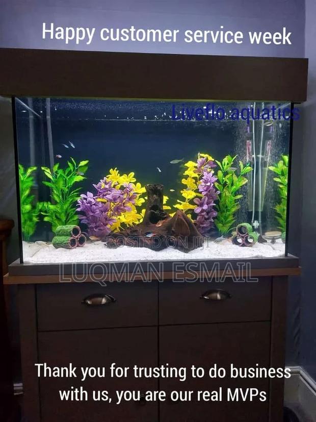 Customised Aquarium - main view