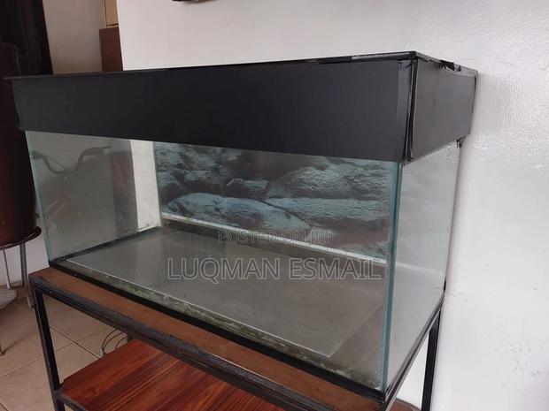 Customised Aquarium - thumbnail 3