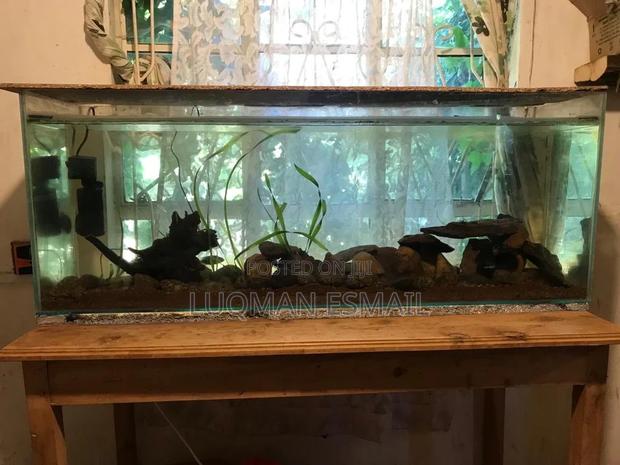 Aquarium for Office - main view