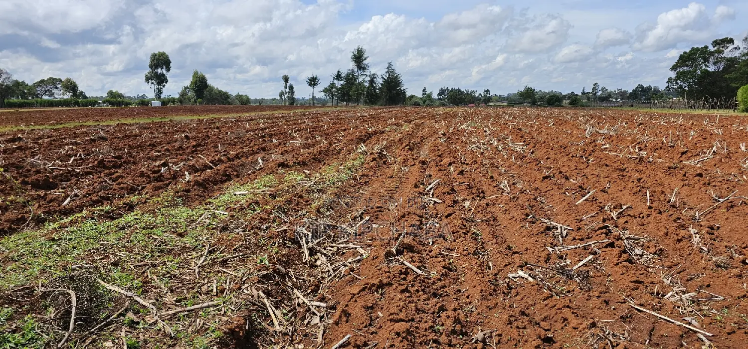 Prime 1⁄4 Plot for Sale Marura Sololo in Eldoret