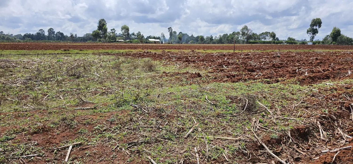 Prime 1⁄4 Plot for Sale Marura Sololo in Eldoret