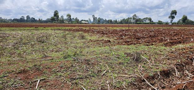 Prime 1⁄4 Plot for Sale Marura Sololo in Eldoret - thumbnail 3