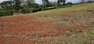 Prime 1⁄4 Plot for Sale Marura Sololo in Eldoret
