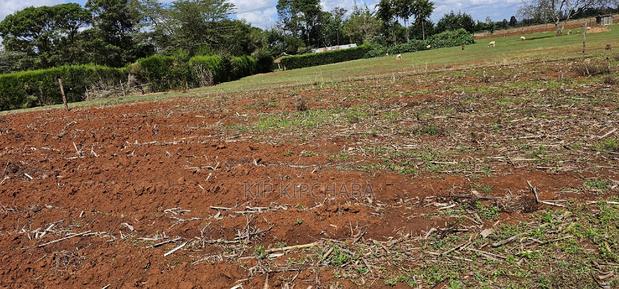 Prime 1⁄4 Plot for Sale Marura Sololo in Eldoret - thumbnail 4